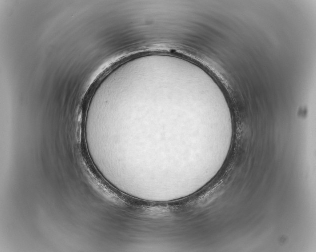 X0000093591126200710291116