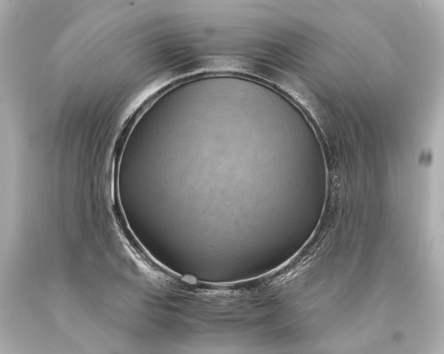 X0000093591127200710291116
