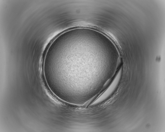 X0000093591128200710291116