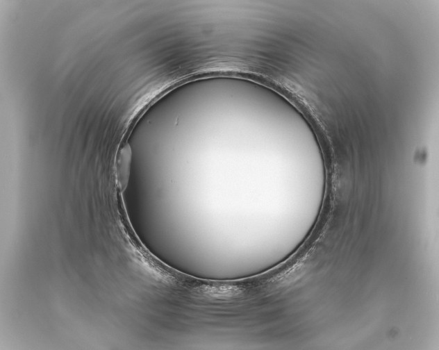 X0000093591129200710291116