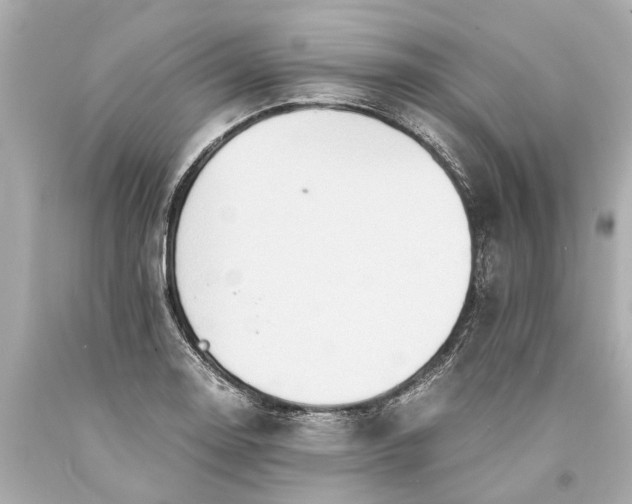 X0000093591130200710291116