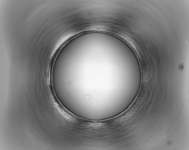 X0000093591131200710291116
