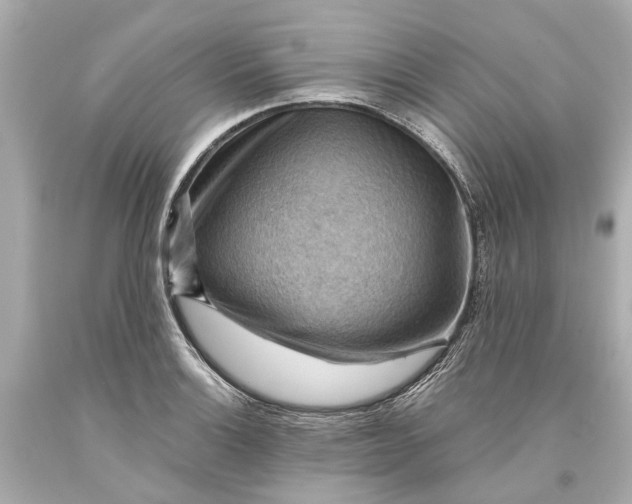 X0000093591132200710291116
