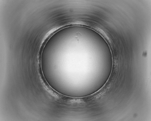 X0000093591133200710291116
