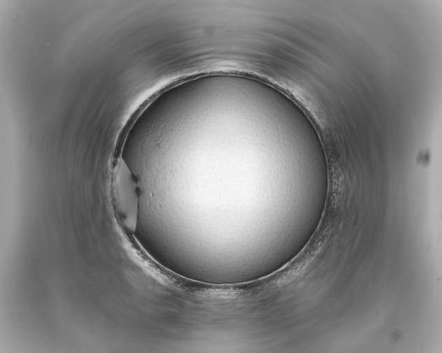 X0000093591134200710291116