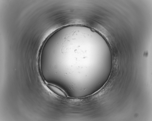X0000093591135200710291116
