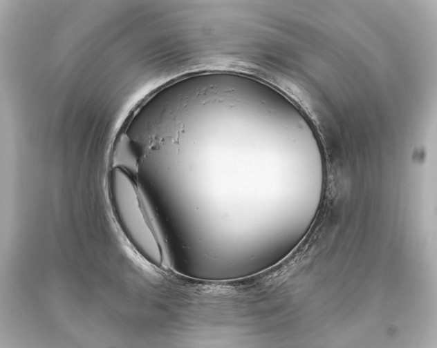 X0000093591136200710291116
