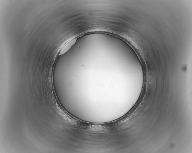 X0000093591137200710291116