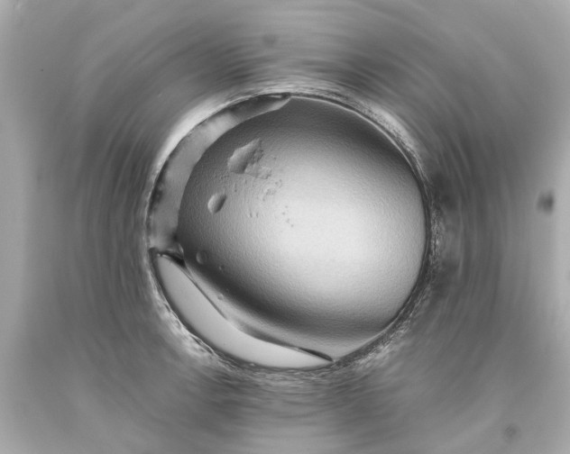 X0000093591138200710291116