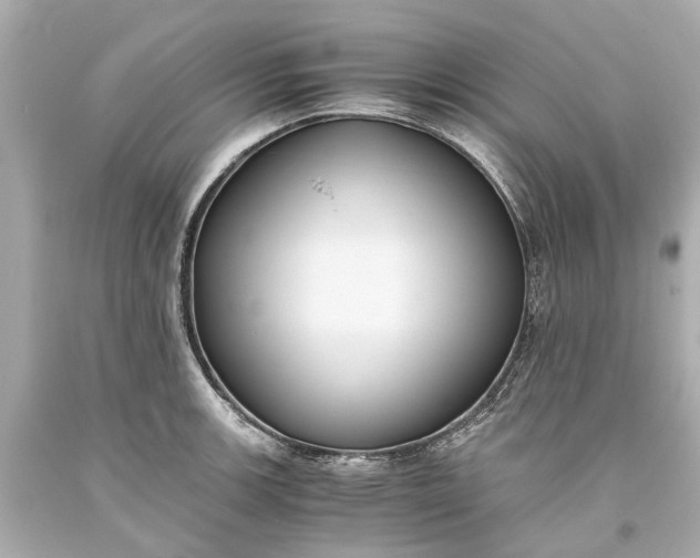 X0000093591139200710291116