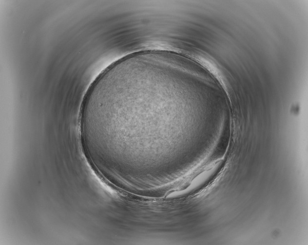 X0000093591141200710291116