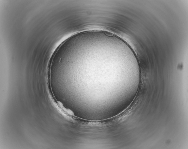 X0000093591142200710291116