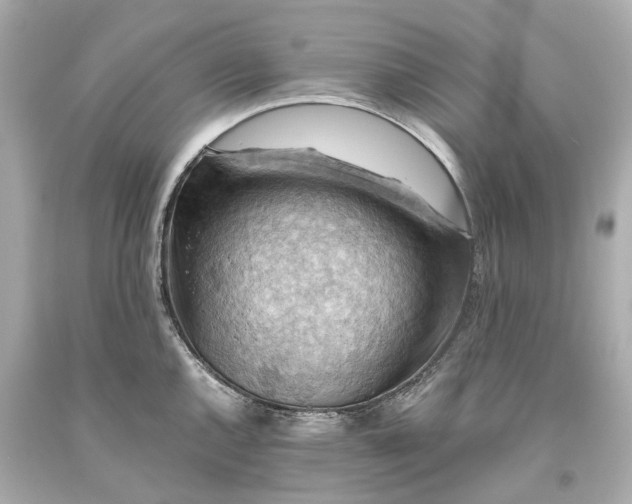 X0000093591144200710291117