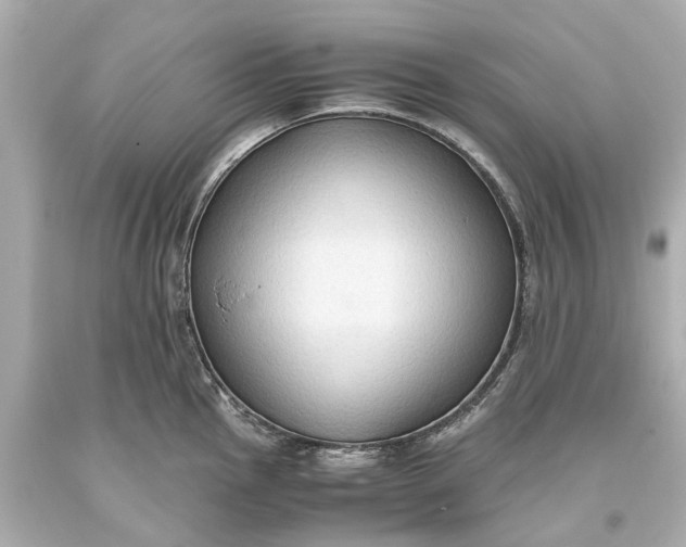 X0000093591145200710291117