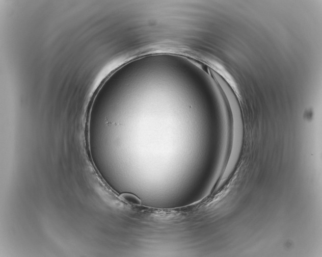 X0000093591146200710291117