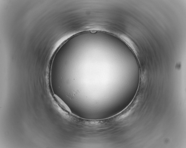 X0000093591149200710291117