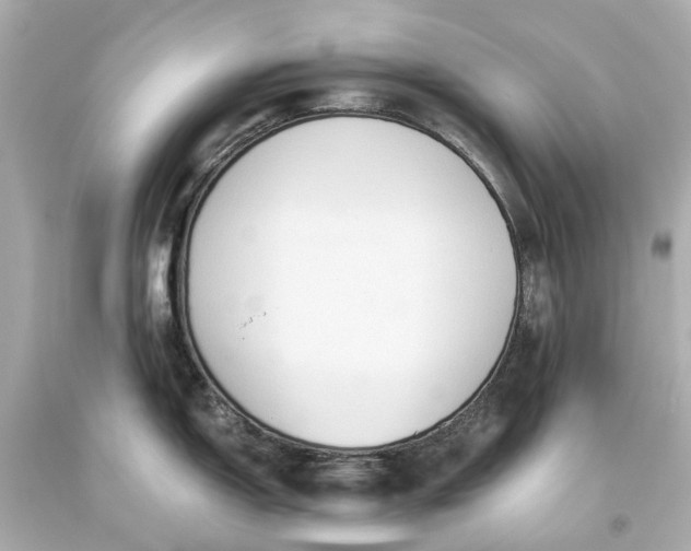 X0000093591150200710291117