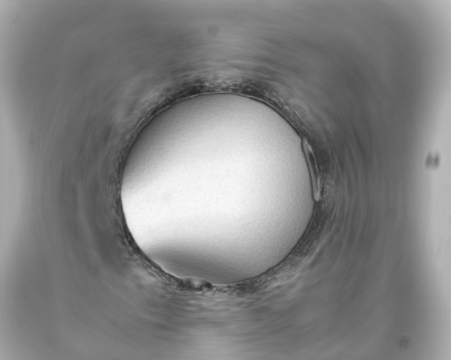 X0000093591153200710291116