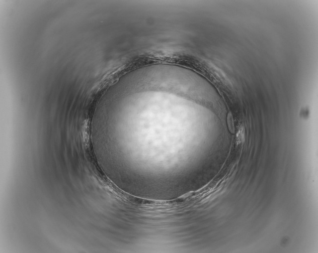 X0000093591156200710291116