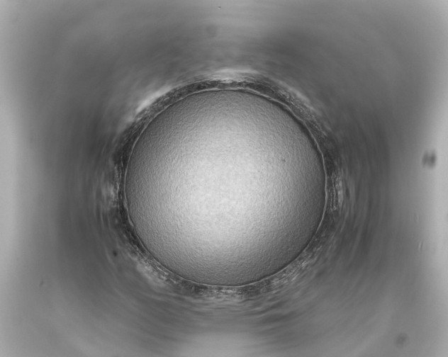 X0000093591158200710291116