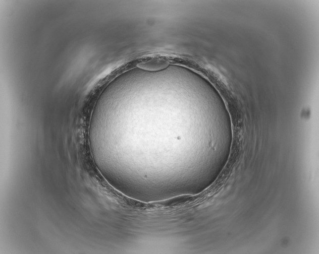 X0000093591159200710291116