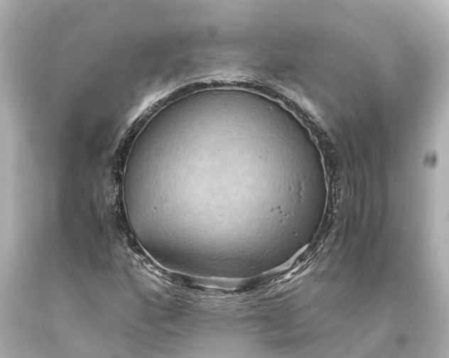 X0000093591160200710291116