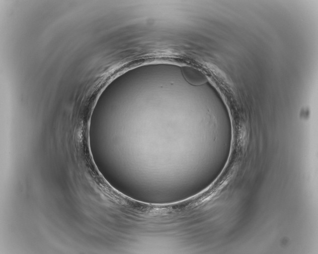 X0000093591161200710291116