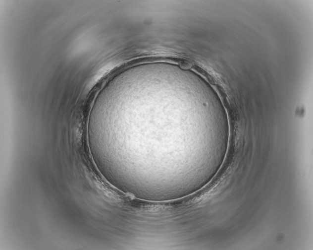 X0000093591163200710291116