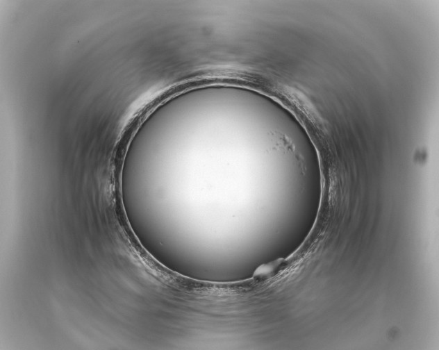 X0000093591164200710291116