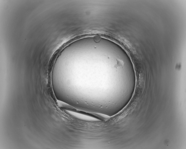 X0000093591165200710291116