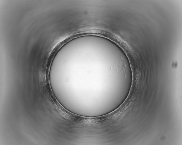 X0000093591166200710291116