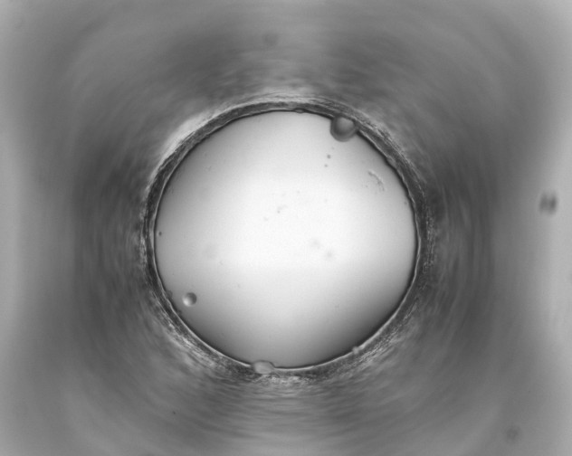 X0000093591168200710291116