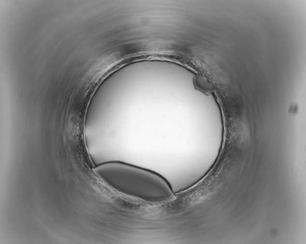 X0000093591169200710291116