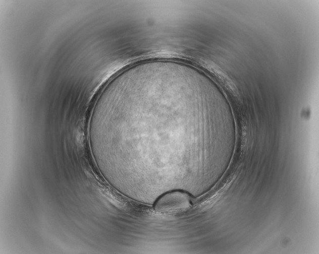 X0000093591170200710291116