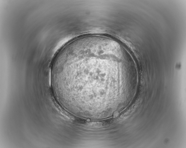X0000093591171200710291116