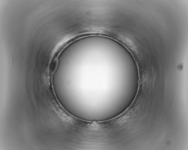 X0000093591172200710291116