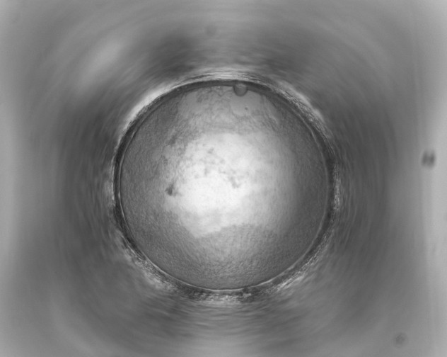 X0000093591174200710291116