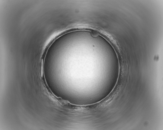 X0000093591175200710291116