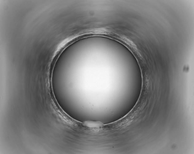 X0000093591176200710291116