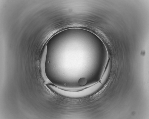 X0000093591177200710291116