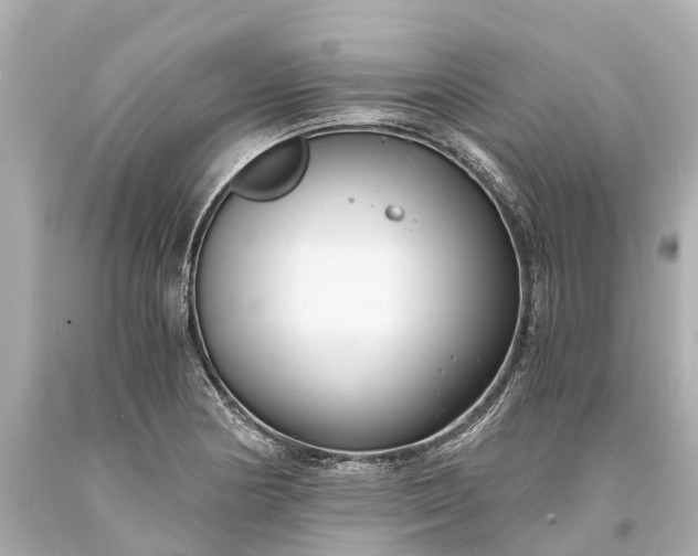X0000093591178200710291116