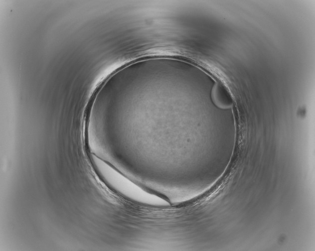 X0000093591179200710291116