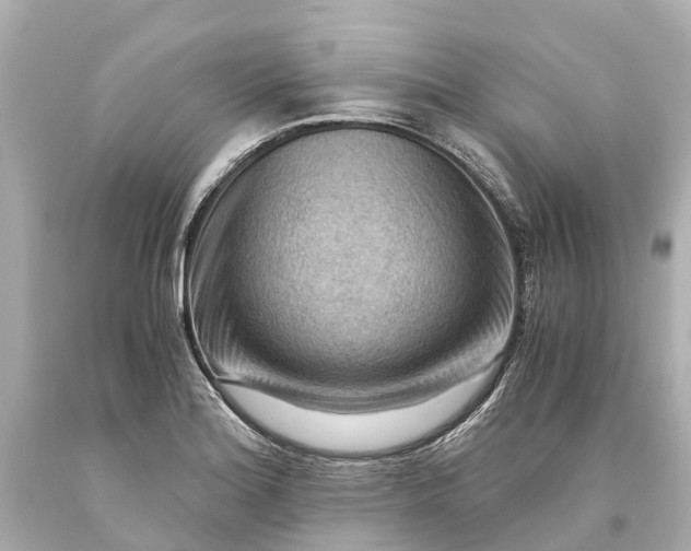 X0000093591180200710291116