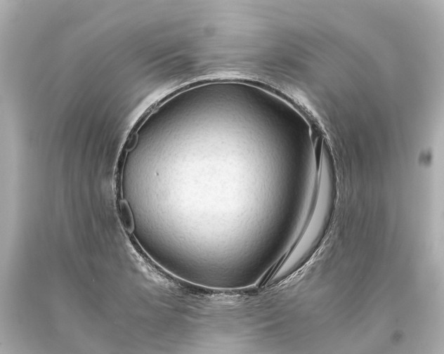 X0000093591181200710291116