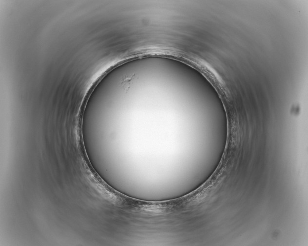 X0000093591182200710291116