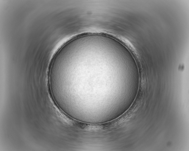 X0000093591183200710291116