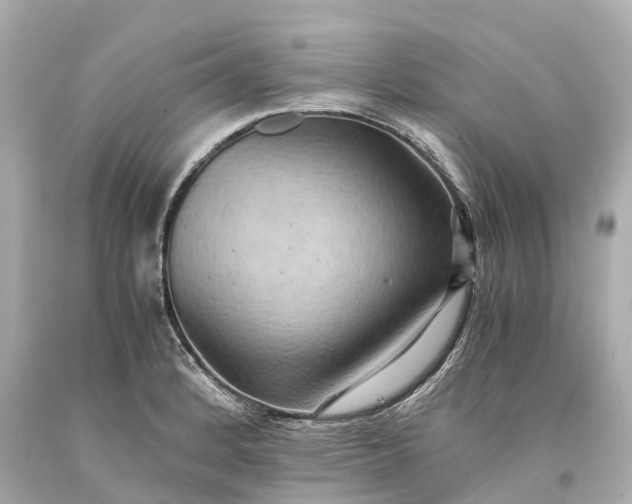 X0000093591184200710291116