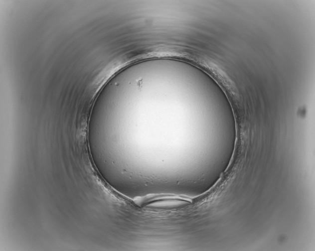 X0000093591185200710291116