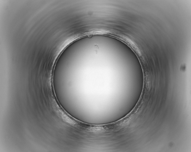 X0000093591186200710291116