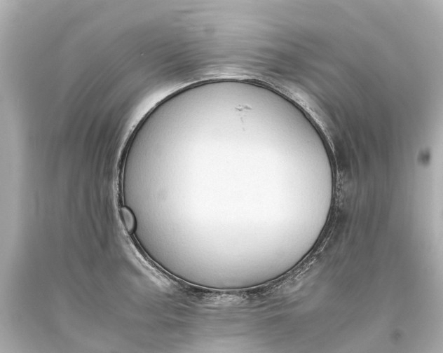 X0000093591187200710291116